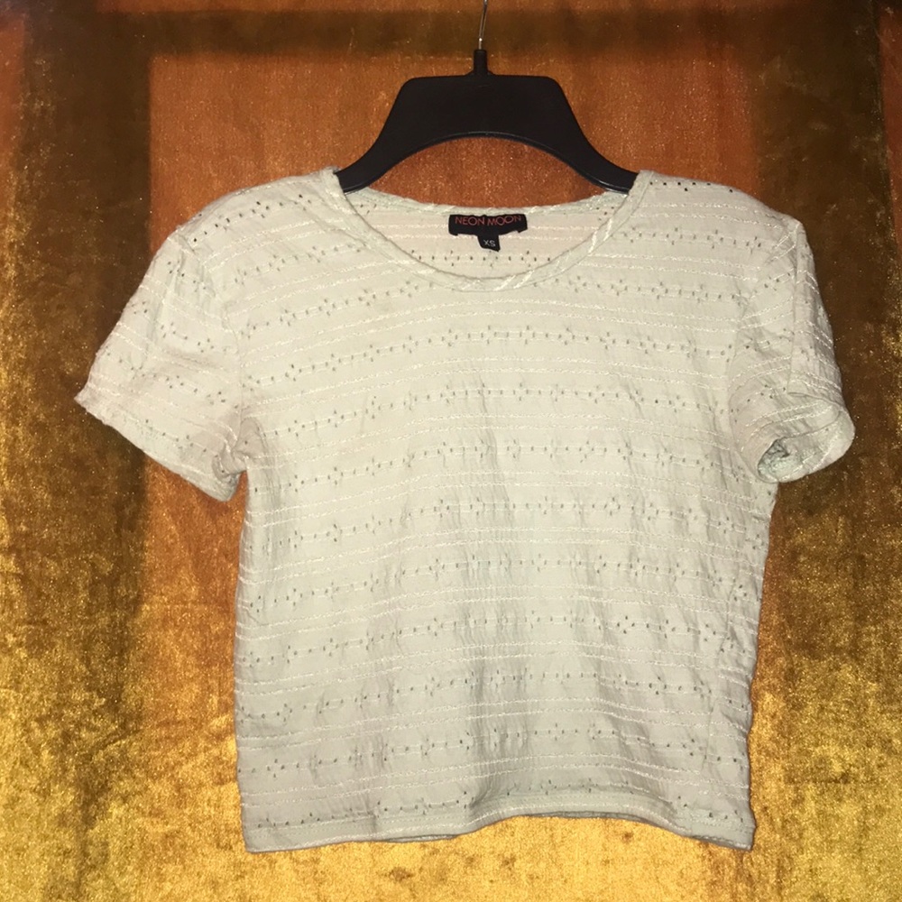 Cute lil Mesh Crop Top